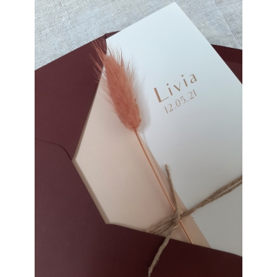 Geboortekaartje Livia Geboortekaartje Livia